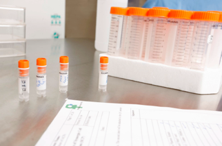 Stem Cell Laboratories